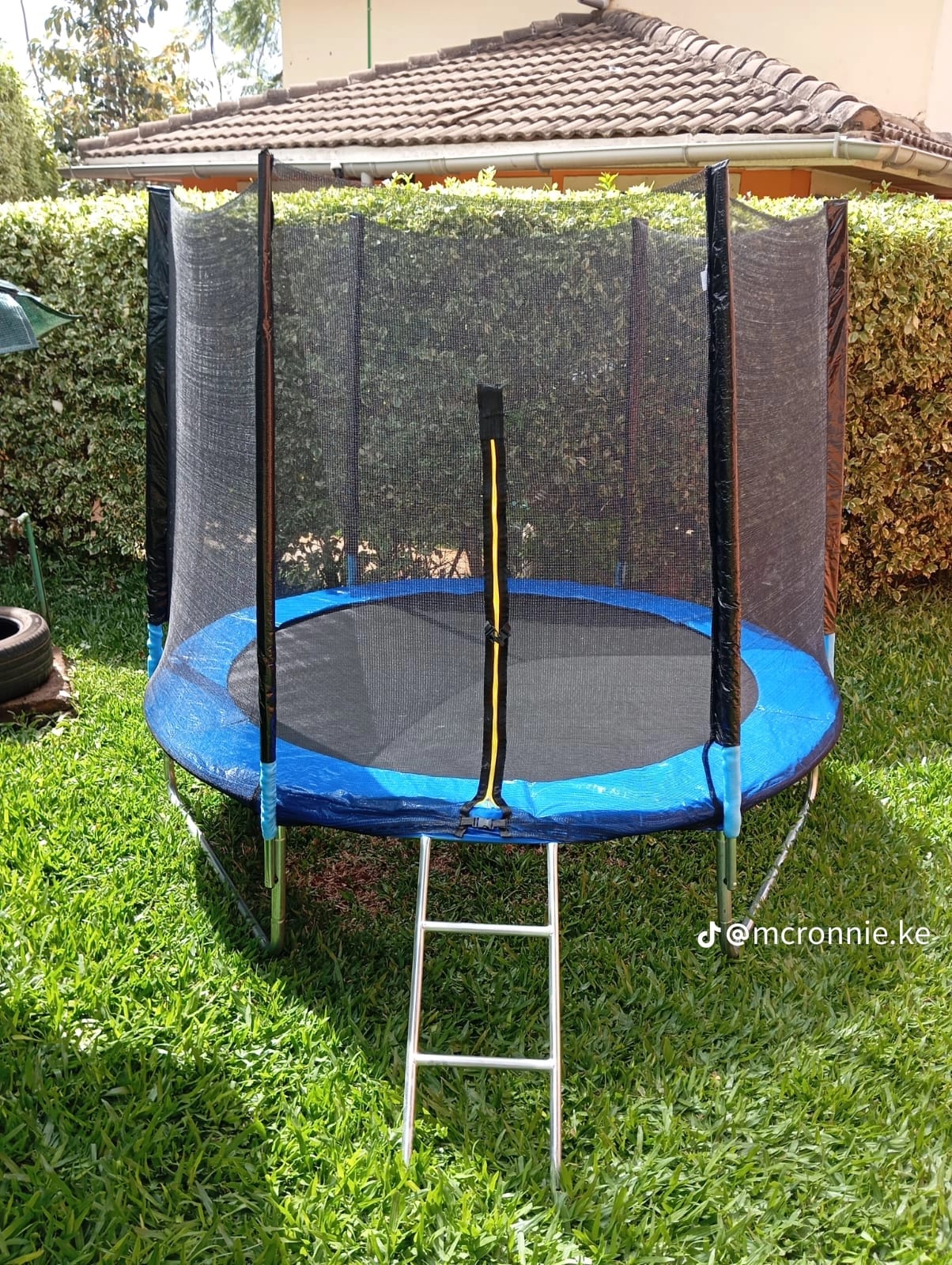 6 Feet Trampoline