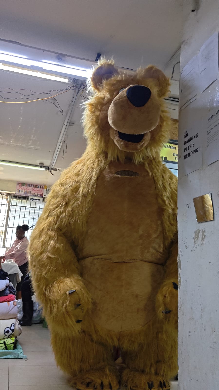 Bear Mascot Costume